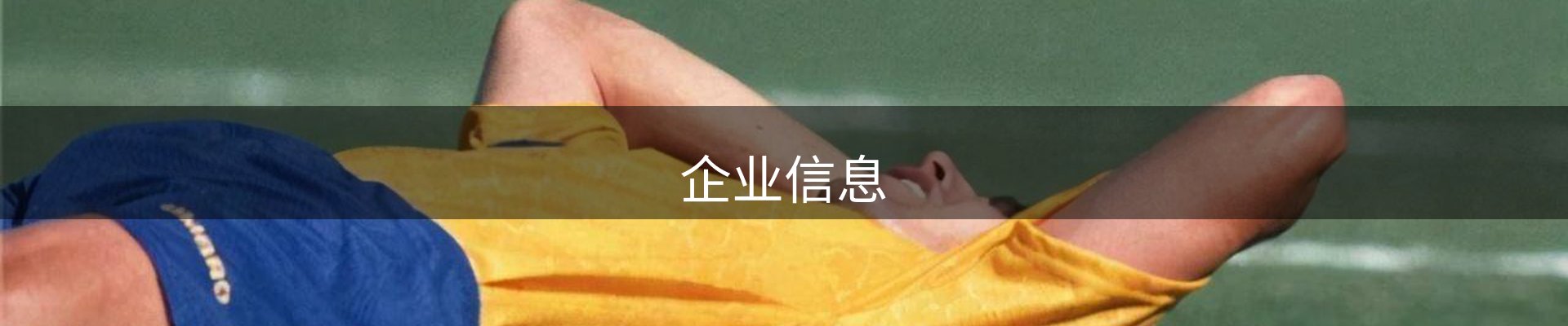 企业信息